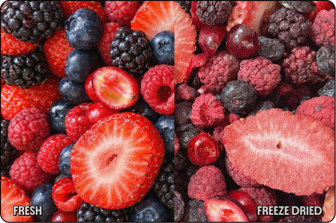 Freeze-Dried vs Fresh Fruit: A Closer Look at Preservation, Nutrients, and Trade-Offs